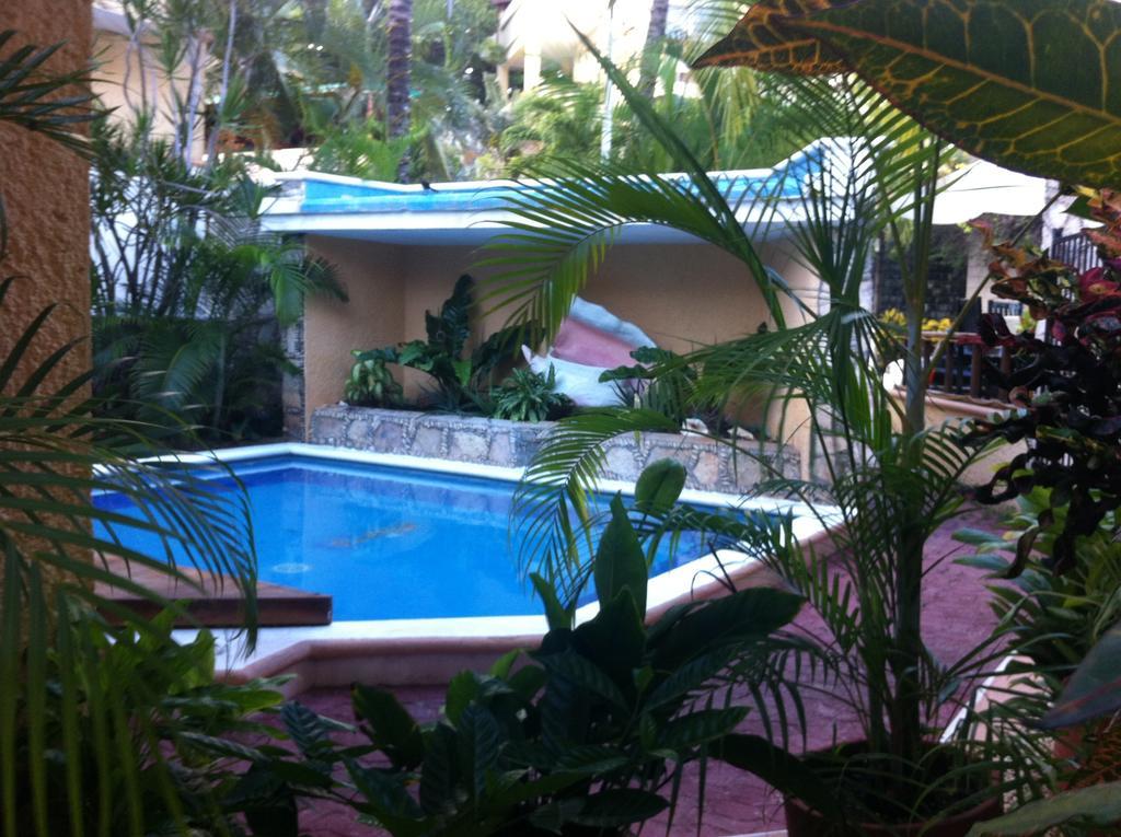 Vista Caribe Diving Resort Playa Del Carmen Exterior foto